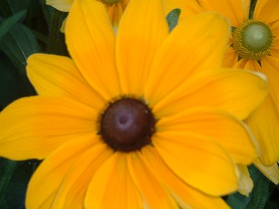 Courtneys Pictures Aug 07-05